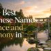 620-best-japanese-names-meaning-balance-and-harmony-in-2026