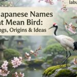 620+Japanese Names That Mean Bird: Meanings, Origins & Ideas