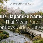 810+ Japanese Names That Mean Pure for Boys, Girls & Unisex
