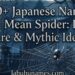 740-japanese-names-that-mean-spider-dark-rare-and-mythic-ideas