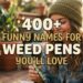 400-funny-names-for-weed-pens-youll-love