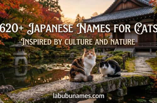 620-japanese-names-for-cats-inspired-by-culture-and-nature