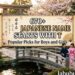 670-japanese-name-starts-with-t-popular-picks-for-boys-and-girls