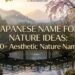 japanese-name-for-nature-ideas-620-aesthetic-nature-names