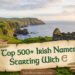top-500-irish-names-starting-with-e