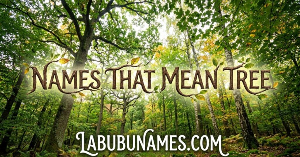 names-that-mean-tree