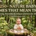 250-nature-baby-names-that-mean-tree-strong-beautiful-and-unique-choices-for-2026