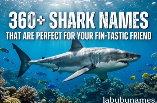 360-shark-names-that-are-perfect-for-your-fin-tastic-friend