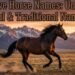 native-horse-names-unique-powerful-and-traditional-name-ideas