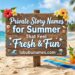 private-story-names-for-summer-that-feel-fresh-and-fun
