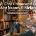 soft-cool-unique-and-cute-femboy-names-and-nicknames