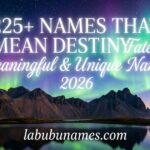 225+ Names That Mean Destiny: Fated, Meaningful & Unique Names 2026