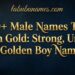 230-male-names-that-mean-gold-strong-unique-and-golden-boy-names