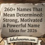 260+ Names That Mean Determined: Strong, Motivated & Powerful Name Ideas for 2026