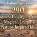 290-names-that-mean-sand-magical-unique-and-nature-inspired-ideas