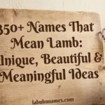 350+ Names That Mean Lamb: Unique, Beautiful & Meaningful Ideas
