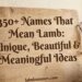 350-names-that-mean-lamb-unique-beautiful-and-meaningful-ideas