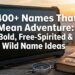 400-names-that-mean-adventure-bold-free-spirited-and-wild-name-ideas